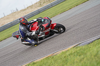Lower Group Red Bikes